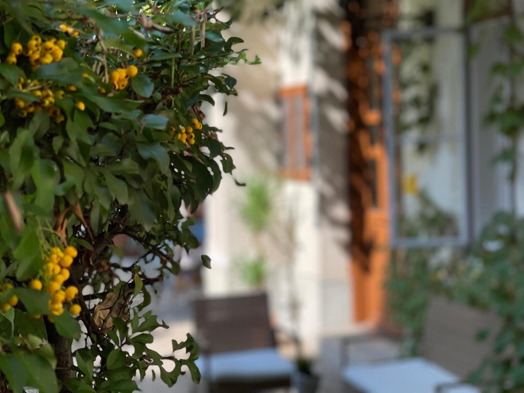 Palms Apartments Budapest Phòng bức ảnh